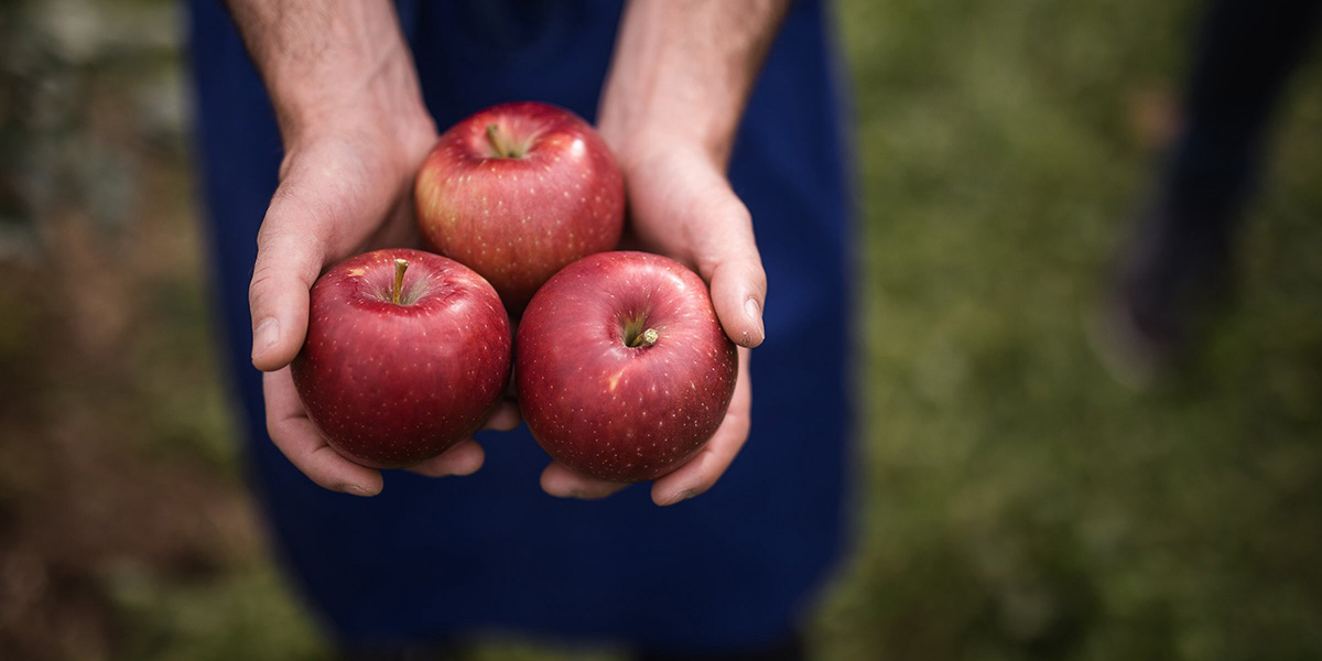 Le mele Club sempre più strategiche per Vip